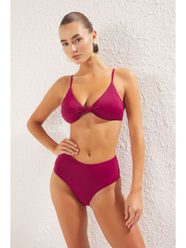 Trendyol Plum Triangle Bikini Set