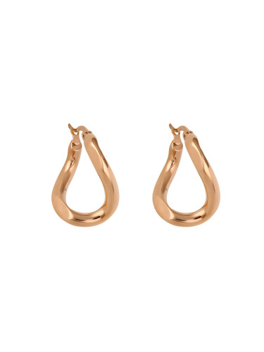 Дамски обеци Daniel Klein DKJ.5.4002-3