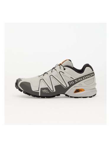 Сникърси Salomon SPEEDCROSS 3 GTX LunRoc/ Clrock/ Turm EUR 44