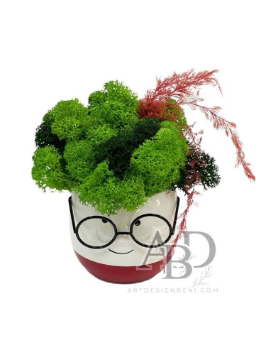 Кашпа Веселко Очилар със скандинавски мъх