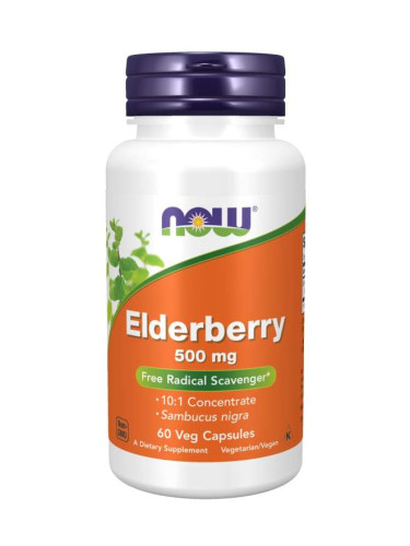 NOW - Elderberry Extract 500 МГ - 60 Капсули