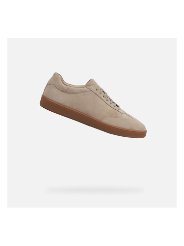 Beige men's sneakers Geox Regio - Men's