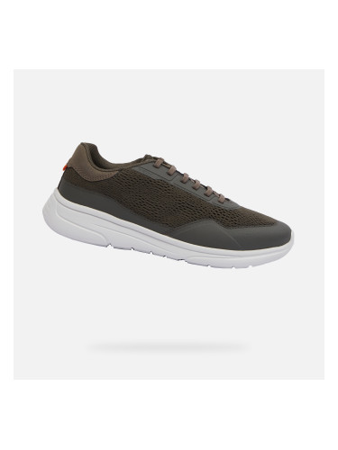 Khaki men's sneakers Geox Klaiver - Men's