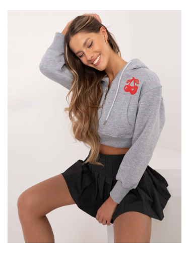 Sweatshirt-CLM-BL-1331.02P-grey