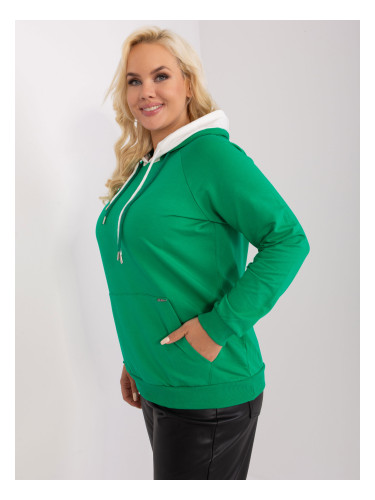 Sweatshirt-RV-BL-9087.77P-green