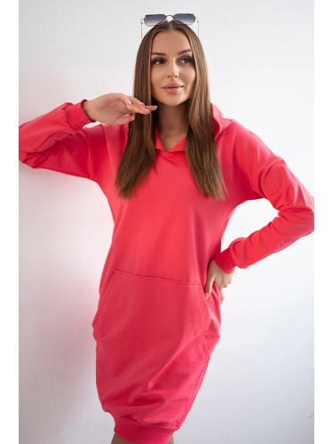 Raspberry dress with hood