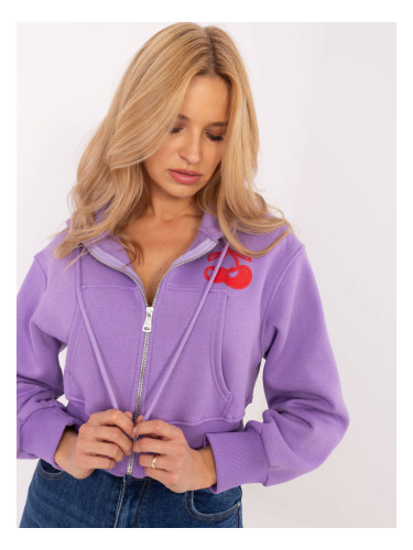 Sweatshirt-CLM-BL-1331.02P-purple