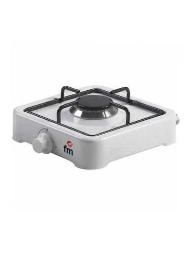 Газов котлон Grupo FM HG100