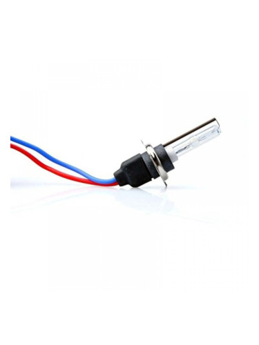 Крушка за Кола M-Tech ZMPH76 H7 6000K