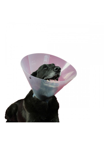 Елизаветинска яка за куче KVP Betsy (33-40 cm)