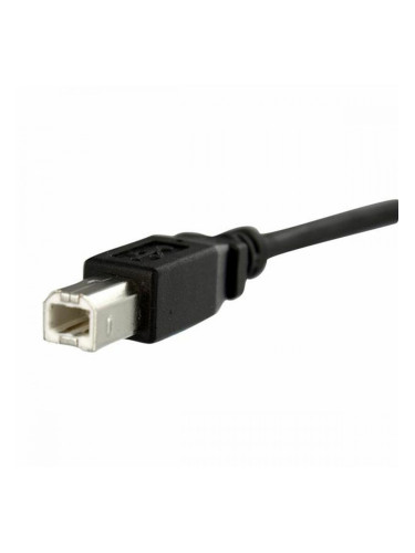 USB Cable Startech USBPNLBFBM1          USB B Черен