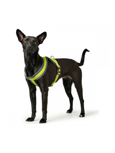 Каишка за Куче Hunter London Comfort XS-S 39-47 cm Верде Лимон