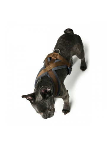 Каишка за Куче Hunter London Comfort XS-S 39-47 cm Кафяв