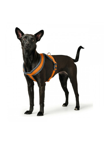 Каишка за Куче Hunter London Comfort 39-47 cm Оранжев XS/S