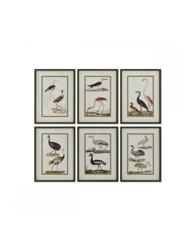 Картина Home ESPRIT Птици Cottage 40 x 2,5 x 54 cm (6 броя)