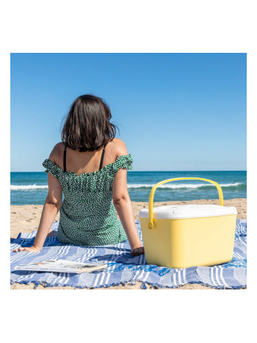 Преносима Твърда Хладилна Чанта Lilty InnovaGoods 15 L