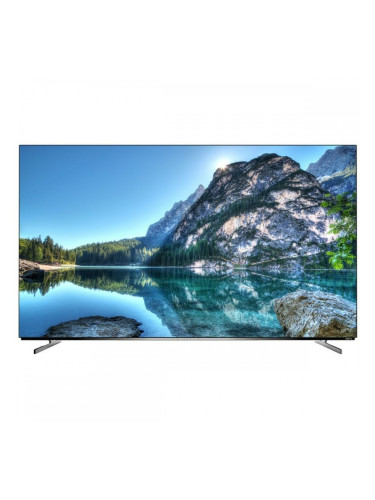 Смарт телевизор Metz 55MOC9010Y Full HD 55" OLED