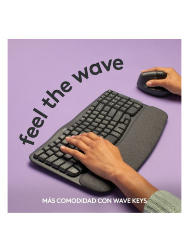 Клавиатура Logitech 920-012296 Графит испански QWERTY