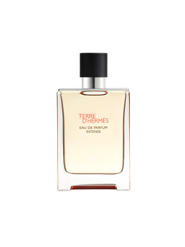 HERMES Terre d'Hermes Eau de Parfum Intense Eau de Parfum мъжки 100ml