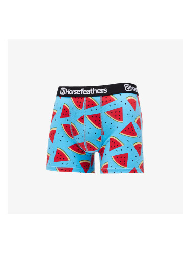Боксерки Horsefeathers Sidney Boxer Shorts Melon S