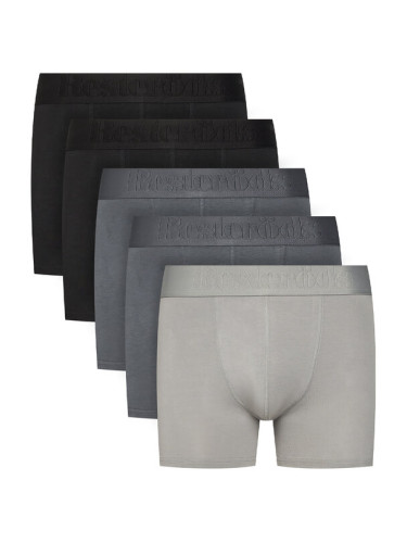 Resteröds Комплект 5 чифта боксери Gunnar 27935 49 Цветен