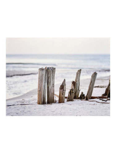 КАРТИНА 80/60CM