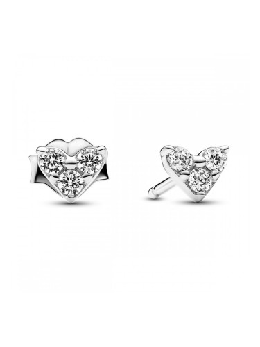 Дамски обеци Pandora 293003C01