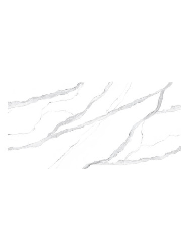 ГРАНИТОГРЕС PALM STATUARIO 60/120