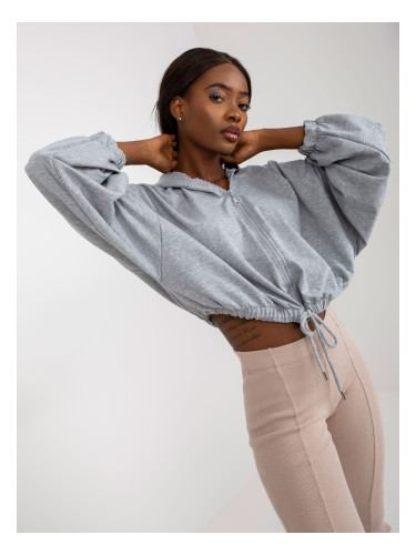 Sweatshirt-RV-BL-8081.36P-gray