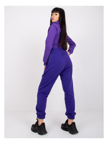 Sweatpants-RV-DR-7460.11-dark purple