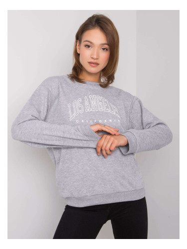 Sweatshirt-RV-BL-6669.10-gray