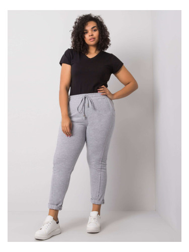 Sweatpants-RV-DR-6300.19-gray