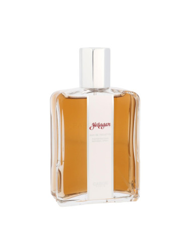 Caron Yatagan Eau de Toilette за мъже 125 ml