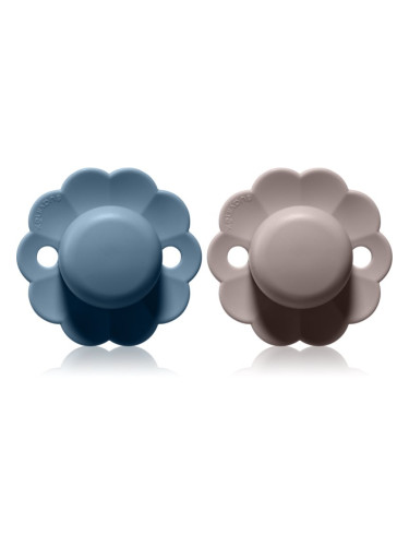 Suavinex Wonder SX Pro Physiological 6-18 m биберон Gray Clouds + Spring Lake 2 бр.