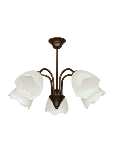 CITY LUX 202315 Alfa 