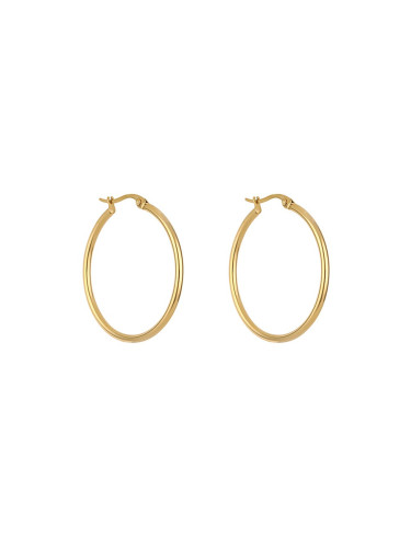 Дамски обеци Freelook FRJ.2.30006.M-2