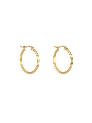 Дамски обеци Freelook FRJ.2.30006.S-2