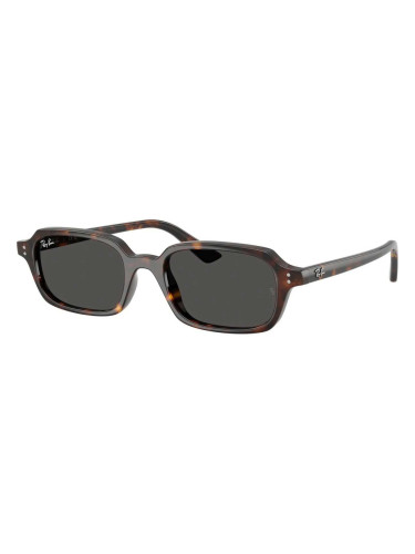 RAY-BAN RB4455 - 135987