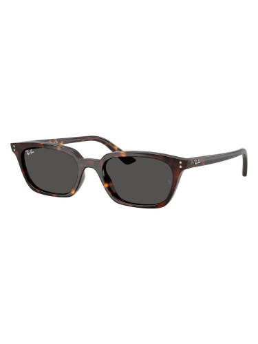 RAY-BAN RB4456 - 135987