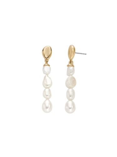 Дамски обеци Skagen SKJ1827710