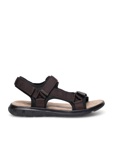 Сандали Lanetti MSS20230-13 Кафяв