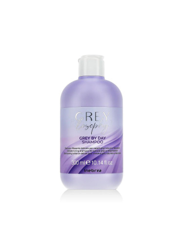 Inebrya GREYlosophy Grey By Day Shampoo Шампоан 300 ml