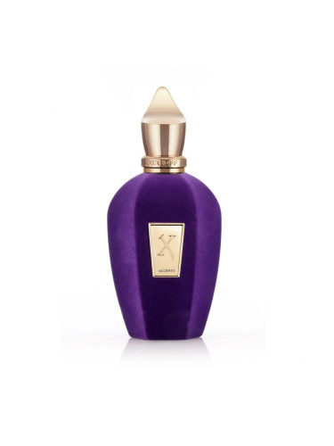 Xerjoff V Collection Accento Eau de Parfum 100 ml ТЕСТЕР