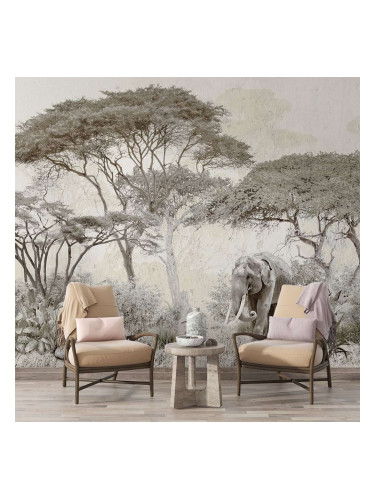 Фототапет със слон и африкански пейзаж в натурални тонове