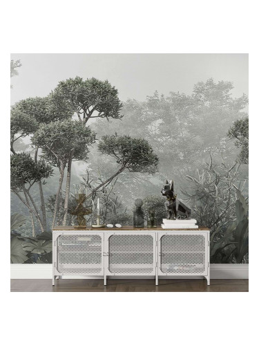 Фототапет Мъгливата Долина на Драконовите Дървета – Тайнствена Джунгла