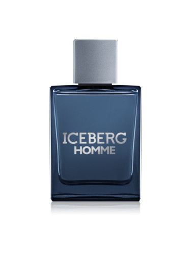 Iceberg Homme тоалетна вода за мъже 100 мл.
