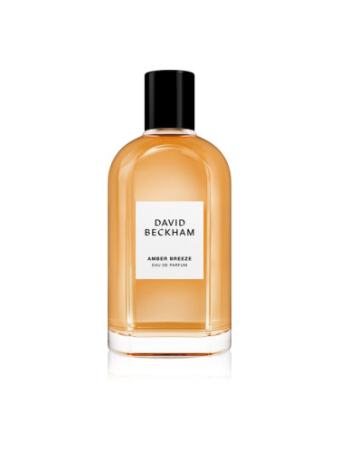 David Beckham Amber Breeze парфюмна вода за мъже 100 мл.