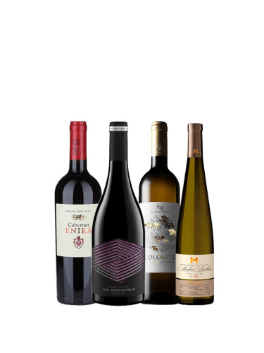 Любими международни