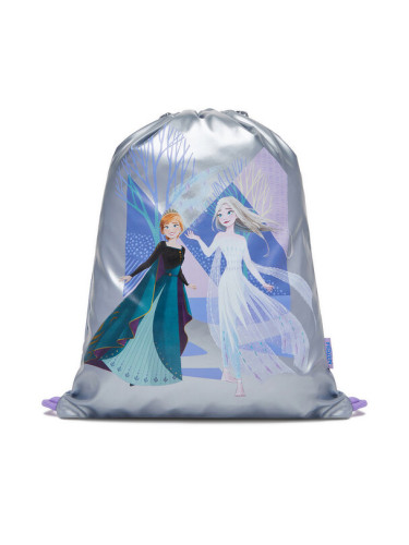 Frozen Раница CEO-ACCCS-AW25-201DFR Сребрист