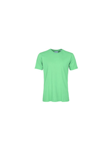 Colorful Standard Classic Organic Tee Green CS1001-SG-0 Мъже - Тениски Colorful Standard - Зелен - CS1001-SG-0-S - Size: S